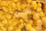 Intense Orange Calcite Crystal Cluster - Poland #302235-1